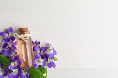 Photo of Beautiful wild violets, essential oil and space for text on white wooden table, flat lay. Spring flowers