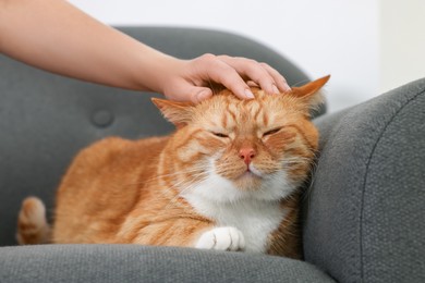 Woman petting cute ginger cat on armchair at home, closeup