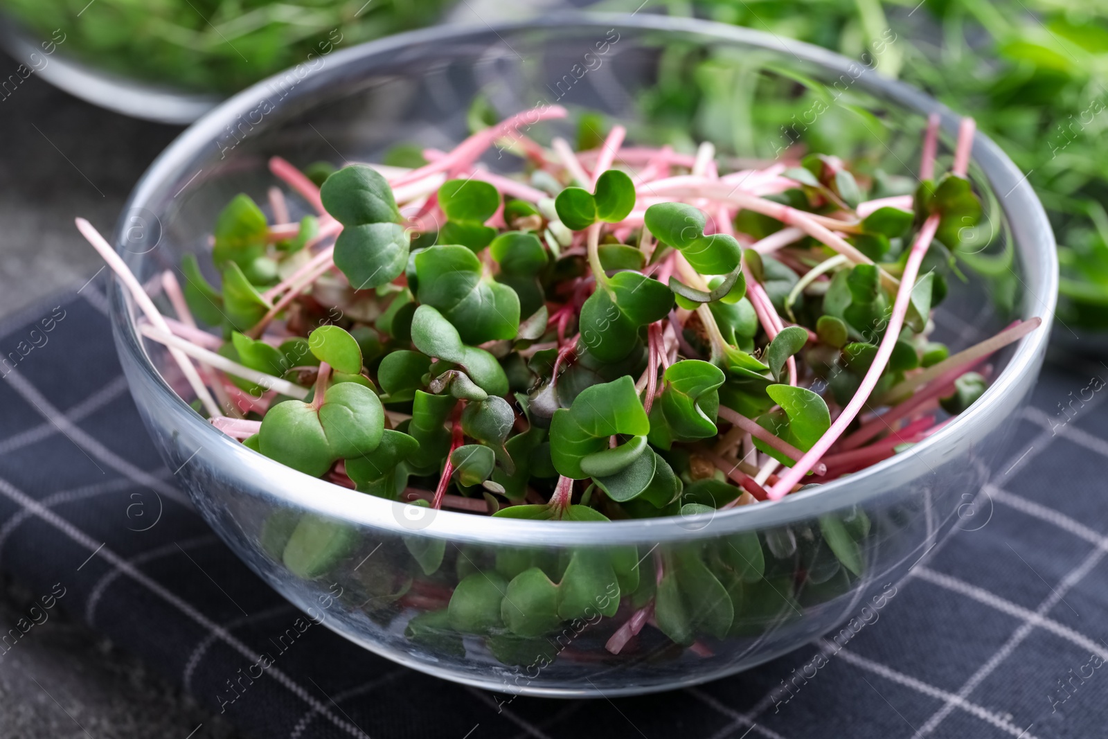 Photo of Glass bowl with fresh microgreen on table, closeup