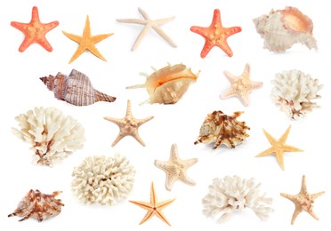 Image of Set with sea stars, shells and corals isolated on white