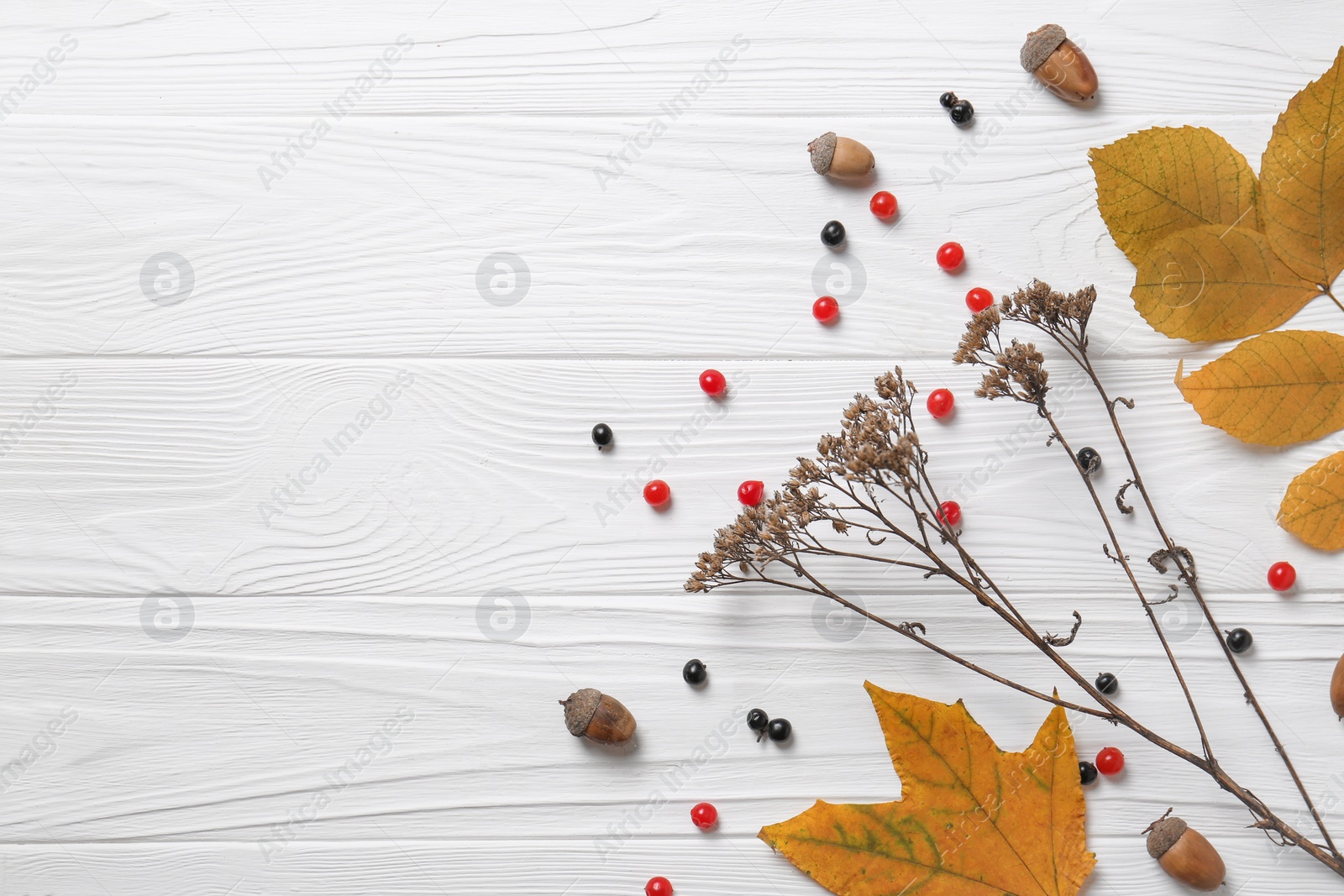 Photo of Flat lay composition with autumn leaves, dried yarrow flowers and berries on white wooden table. Space for text