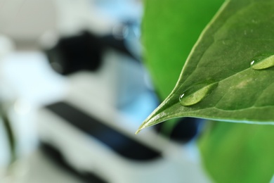 Photo of Water drops on green leaf against blurred background, closeup with space for text. Plant chemistry