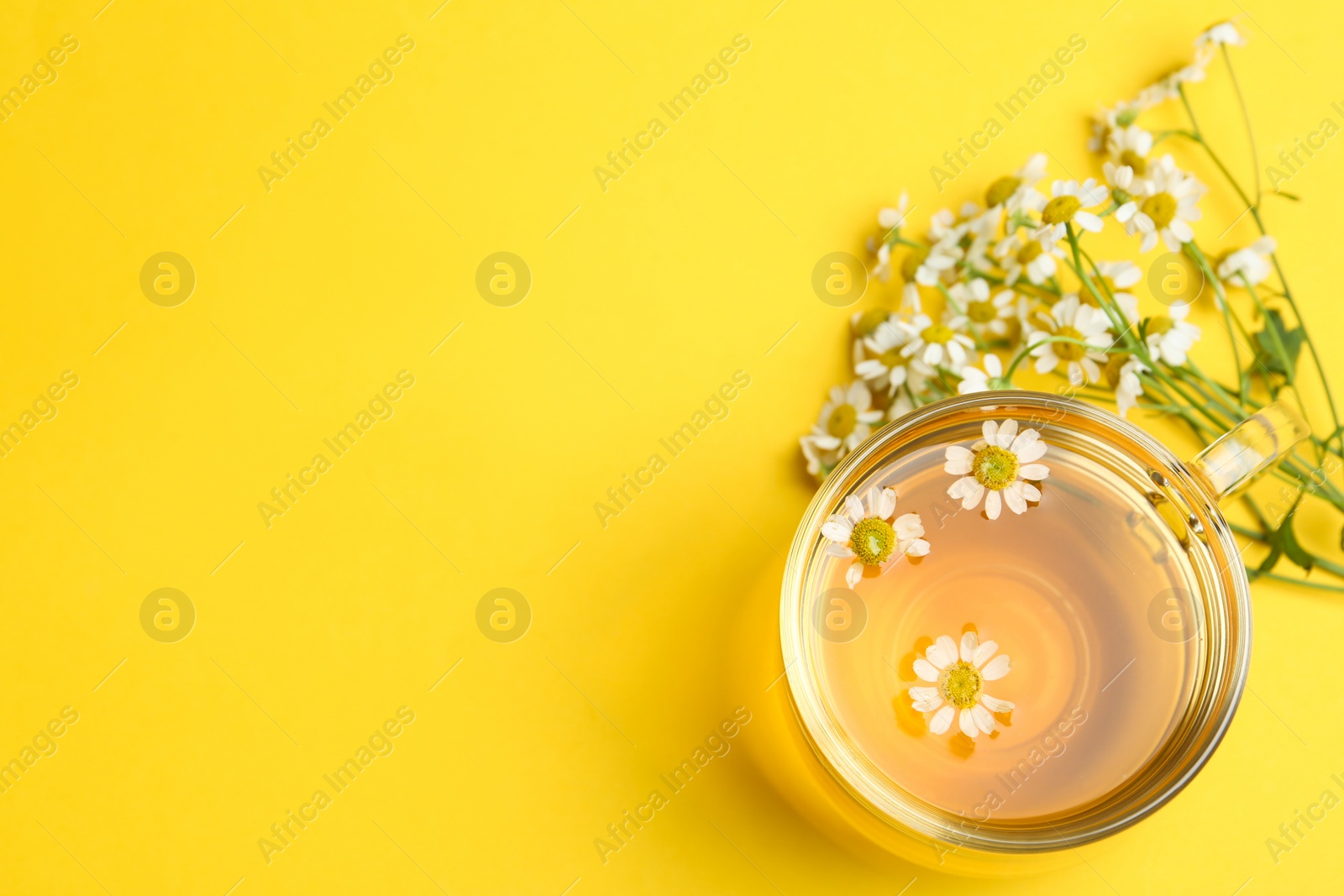 Photo of Cup of tea and chamomile flowers on yellow background, flat lay. Space for text