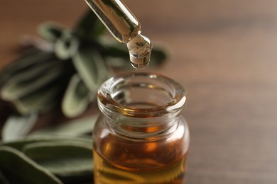 Dropping essential sage oil into bottle on blurred background, closeup