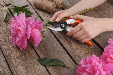 Photo of Woman trimming beautiful pink peonies with secateurs at wooden table, closeup