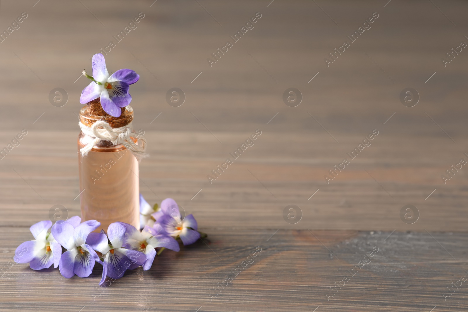 Photo of Beautiful wild violets and essential oil on wooden table, space for text. Spring flowers