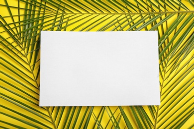 Flat lay composition with tropical date palm leaves on color background