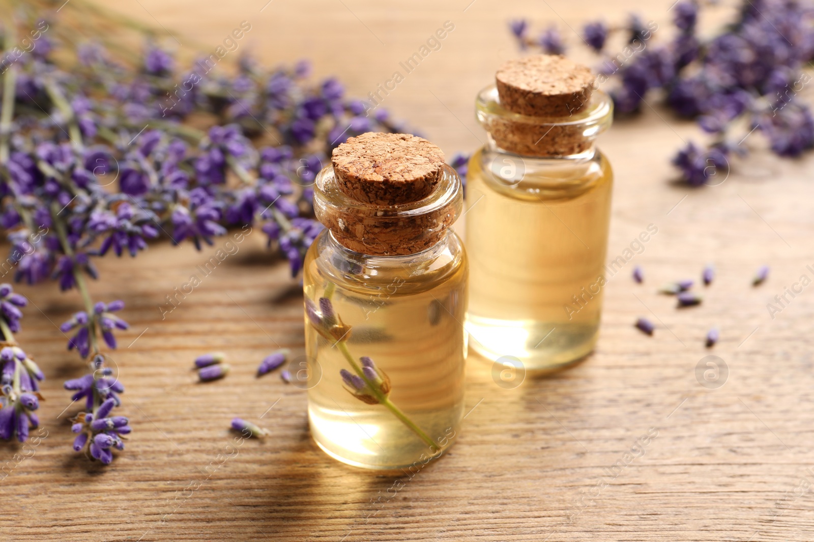 Photo of Essential oil and lavender flowers on wooden table, closeup