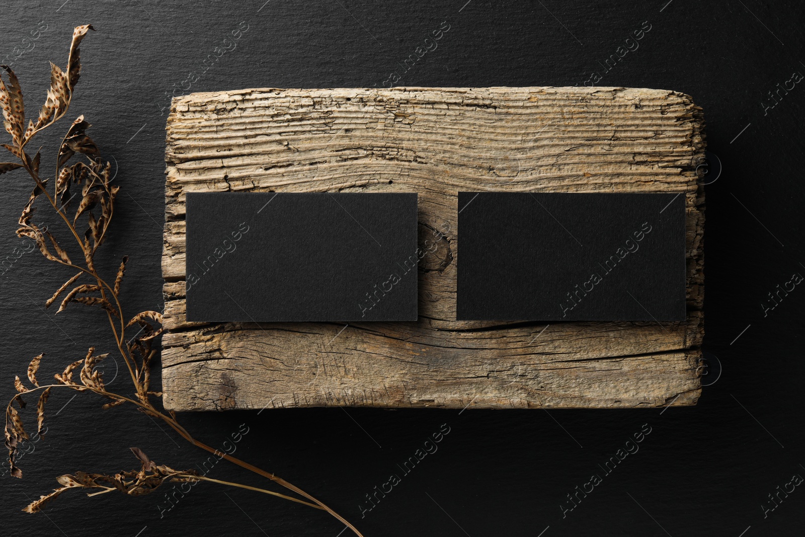 Photo of Empty business cards, piece of wood and dried plant on black background, flat lay. Mockup for design