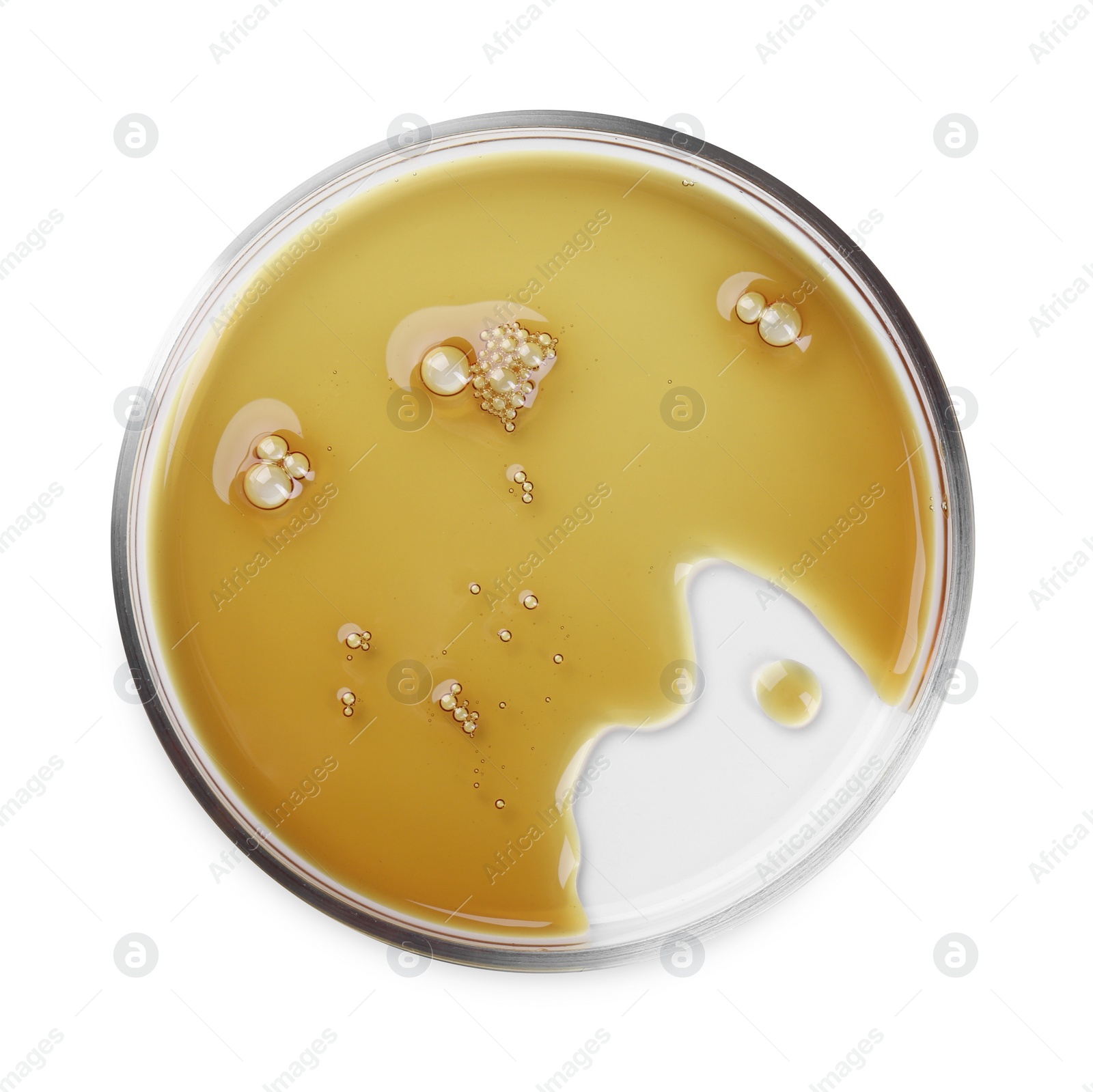 Photo of Petri dish with color liquid sample isolated on white, top view