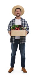 Harvesting season. Happy farmer holding wooden crate with vegetables on white background