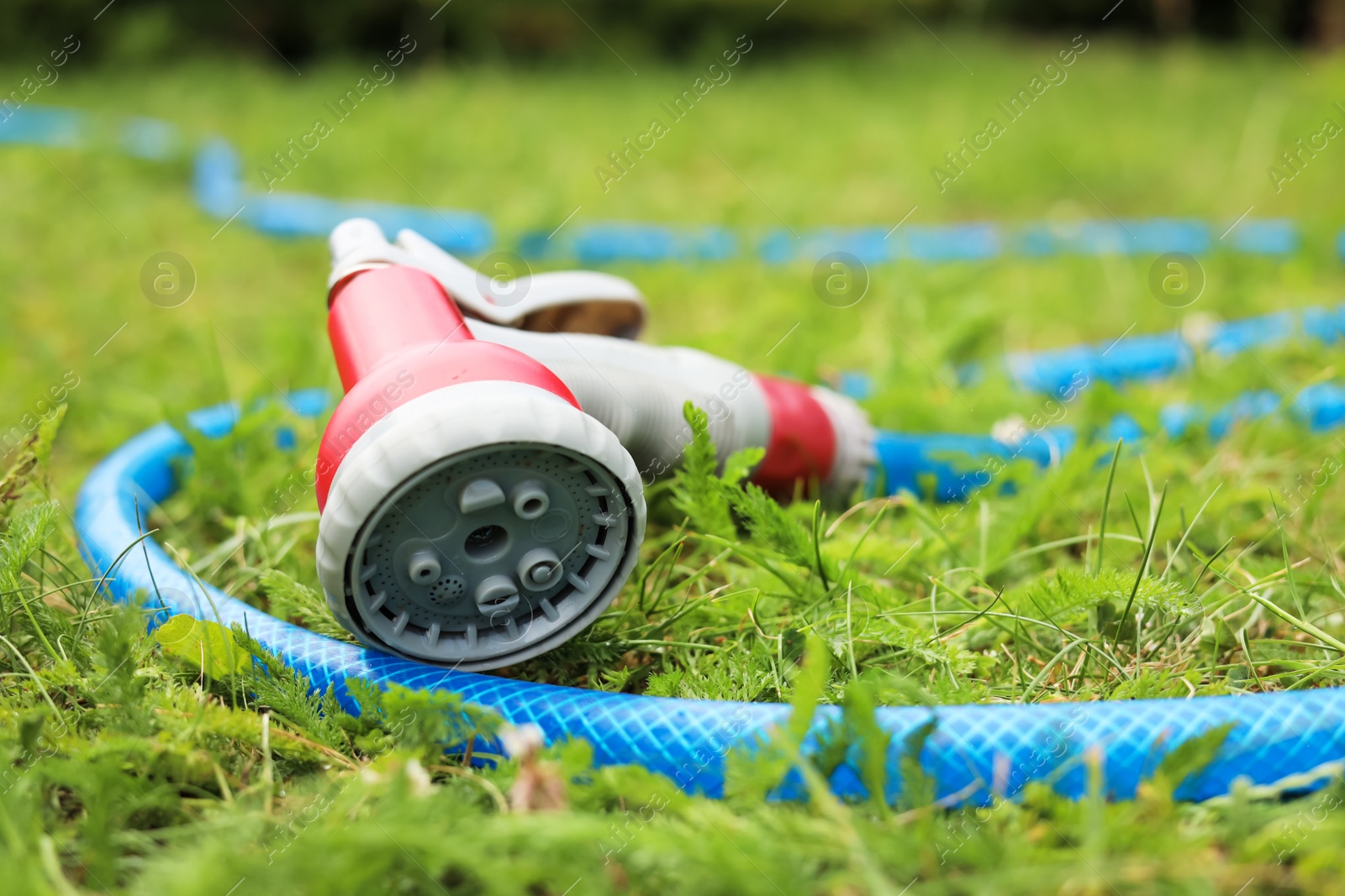 Photo of Watering hose with sprinkler on green grass outdoors, closeup