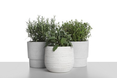 Photo of Pots with thyme, sage and rosemary on white background
