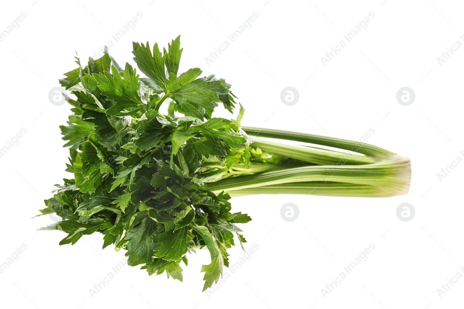 Photo of Fresh green celery bunch isolated on white