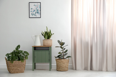 Different tropical plants in wicker pots near white wall at home