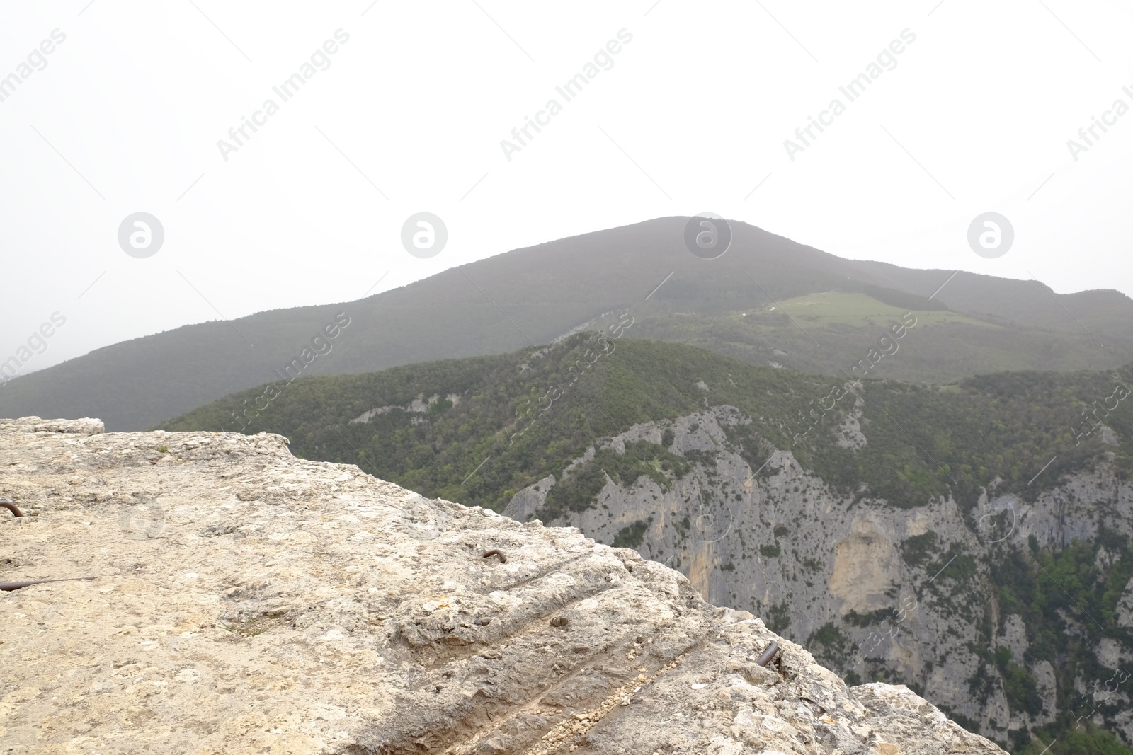 Photo of Picturesque view of green forest in mountains