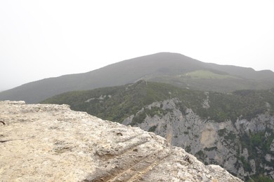 Photo of Picturesque view of green forest in mountains