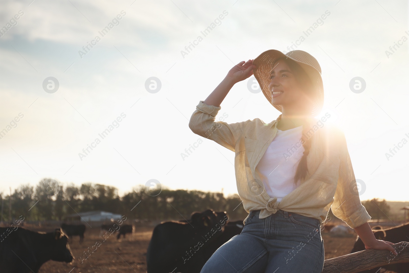 Photo of Young woman sitting on fence near cow pen outdoors. Animal husbandry