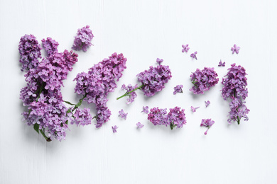 Photo of Beautiful lilac blossom on white wooden background, flat lay