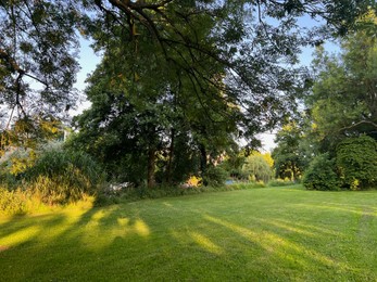 Photo of Beautiful view of green grass and trees in park