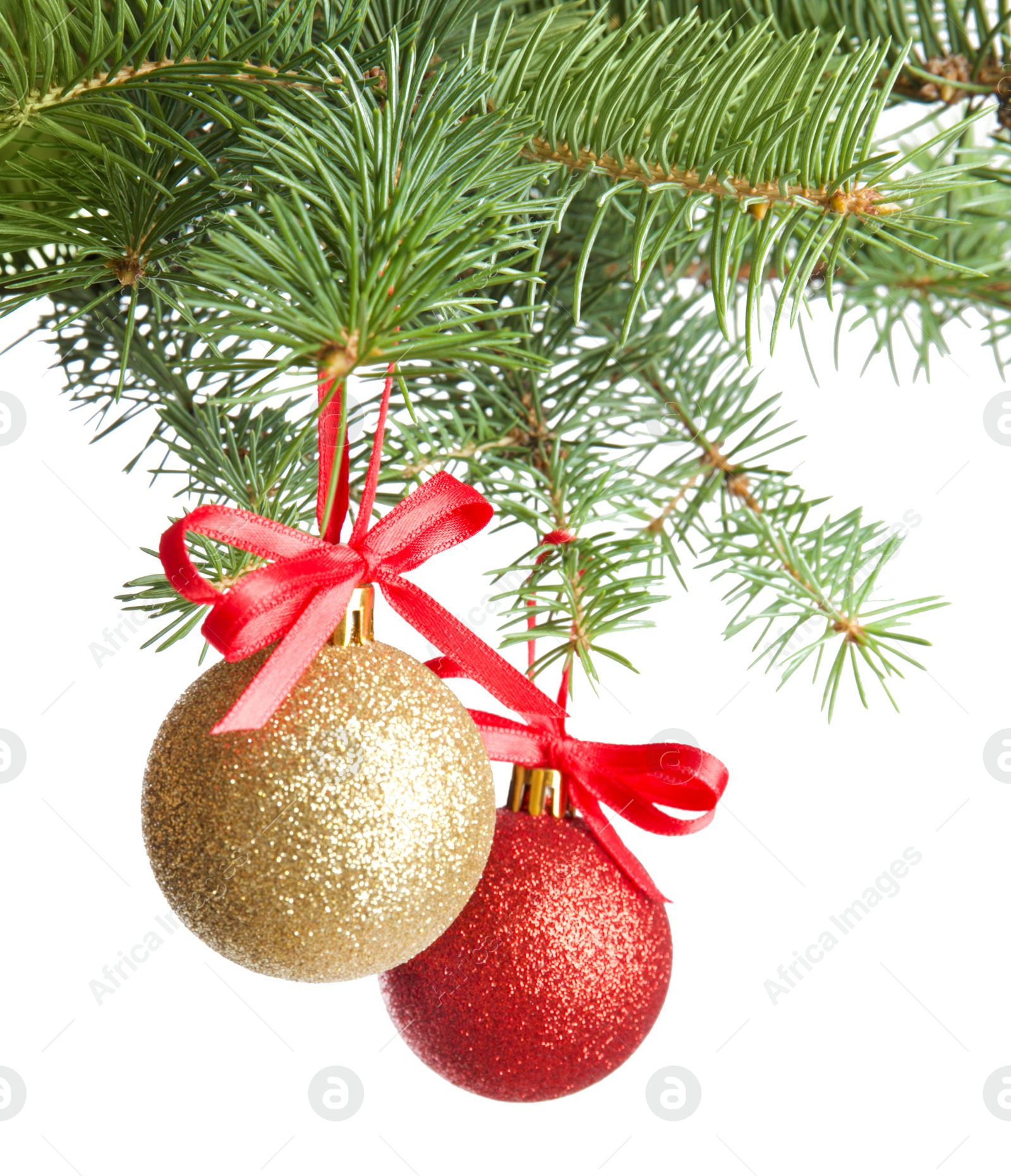 Photo of Christmas tree branch with balls on white background