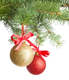 Photo of Christmas tree branch with balls on white background