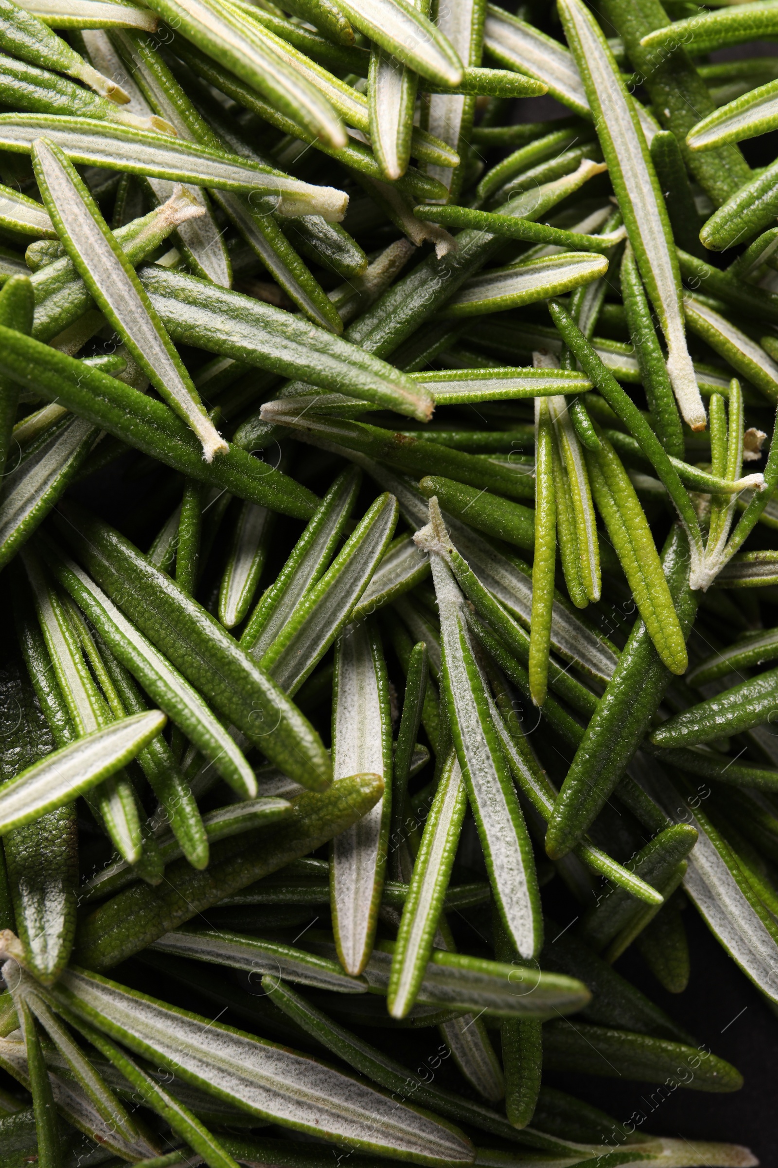 Photo of Fresh green rosemary leaves as background, top view