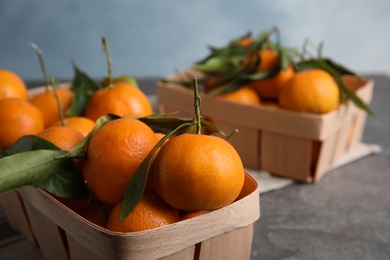 Fresh ripe tangerines with green leaves in crates on table