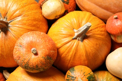 Photo of Many different pumpkins as background, closeup. Autumn holidays