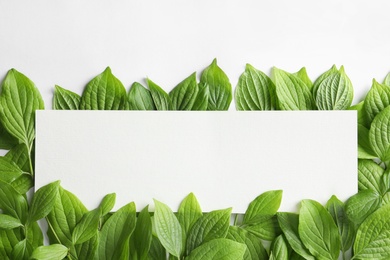 Photo of Blank card with green leaves on white background