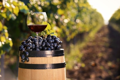 Photo of Composition with glass of red wine and ripe grapes on barrel outdoors. Space for text