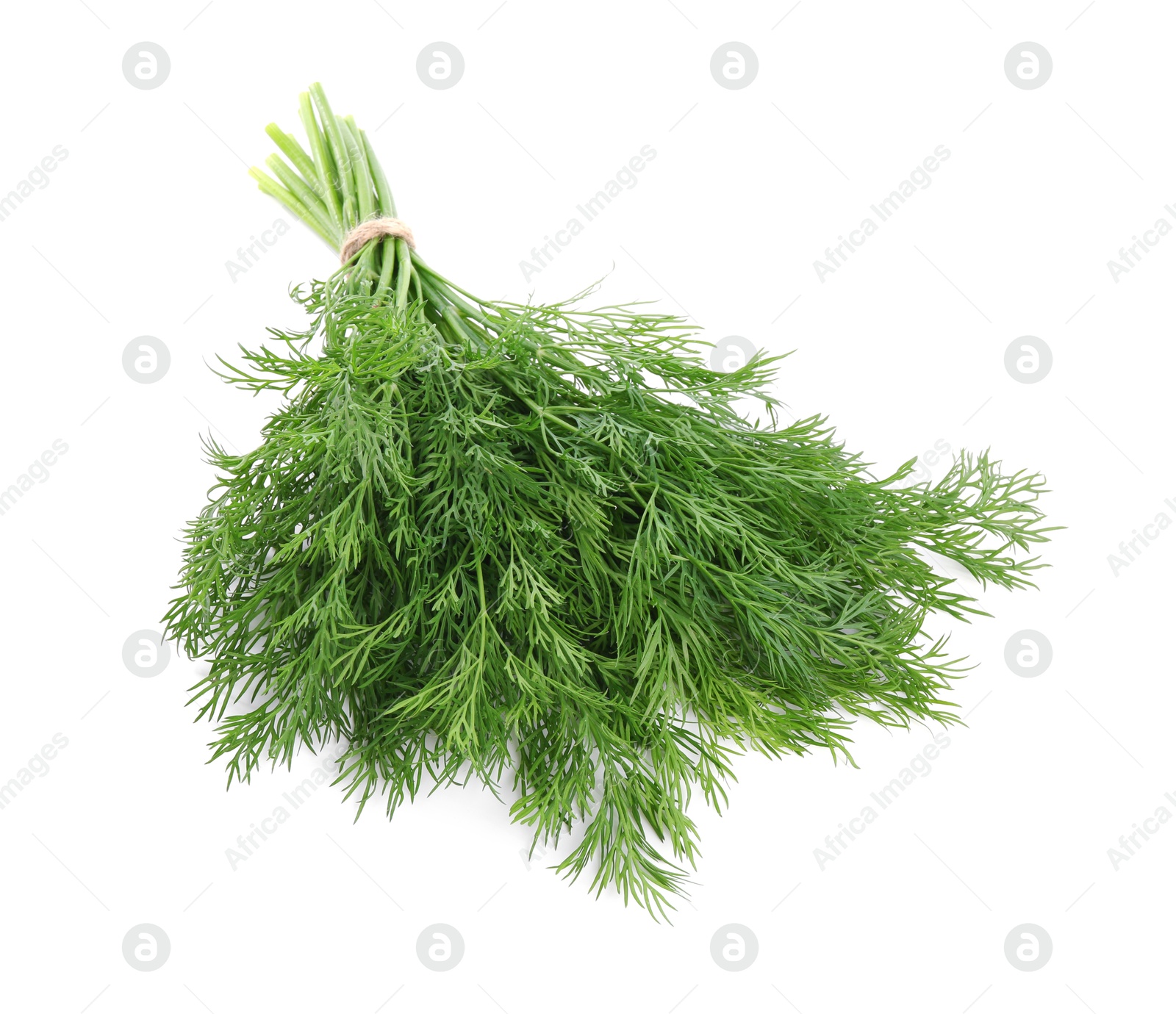 Photo of Bunch of fresh green dill isolated on white