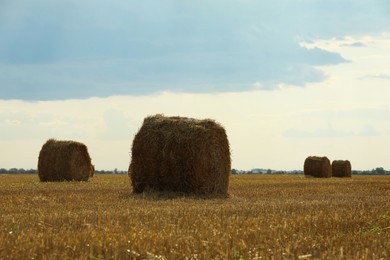 Photo of Beautiful view of agricultural field with hay bales