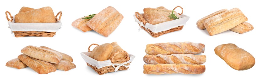 Set with fresh delicious ciabattas and baguettes on white background. Banner design