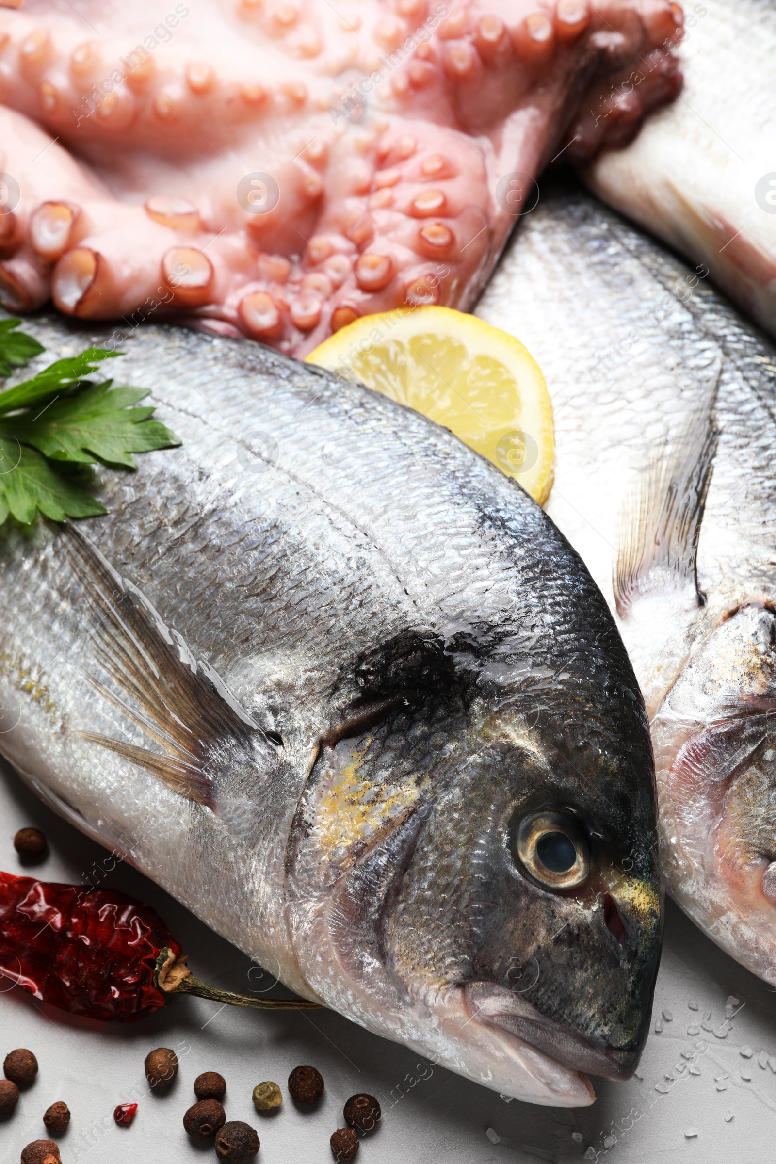 Photo of Fresh raw dorado fish, octopus and lemon on light grey table, closeup