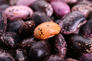 Photo of Many dry kidney beans as background, closeup