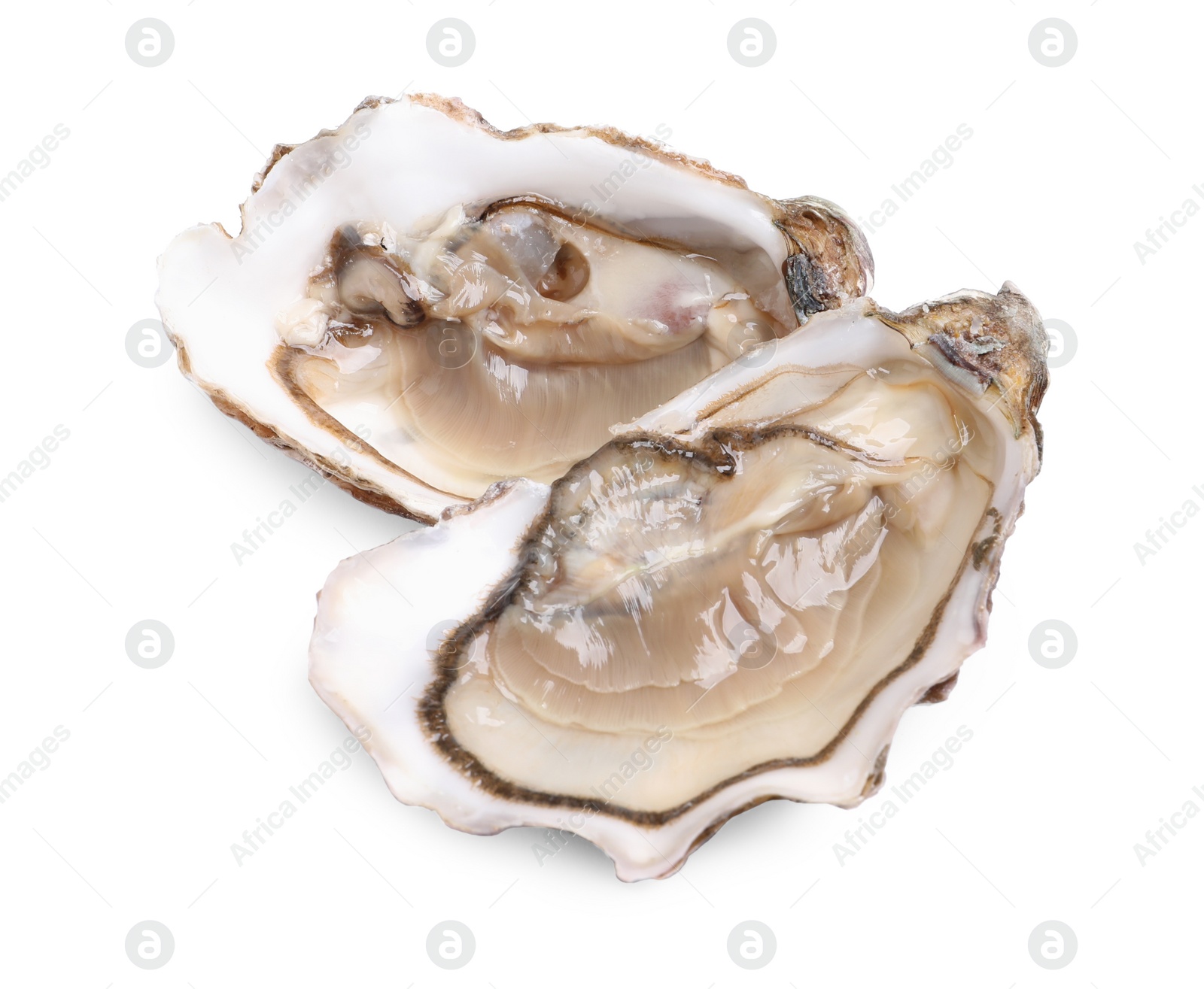 Photo of Fresh raw open oysters on white background