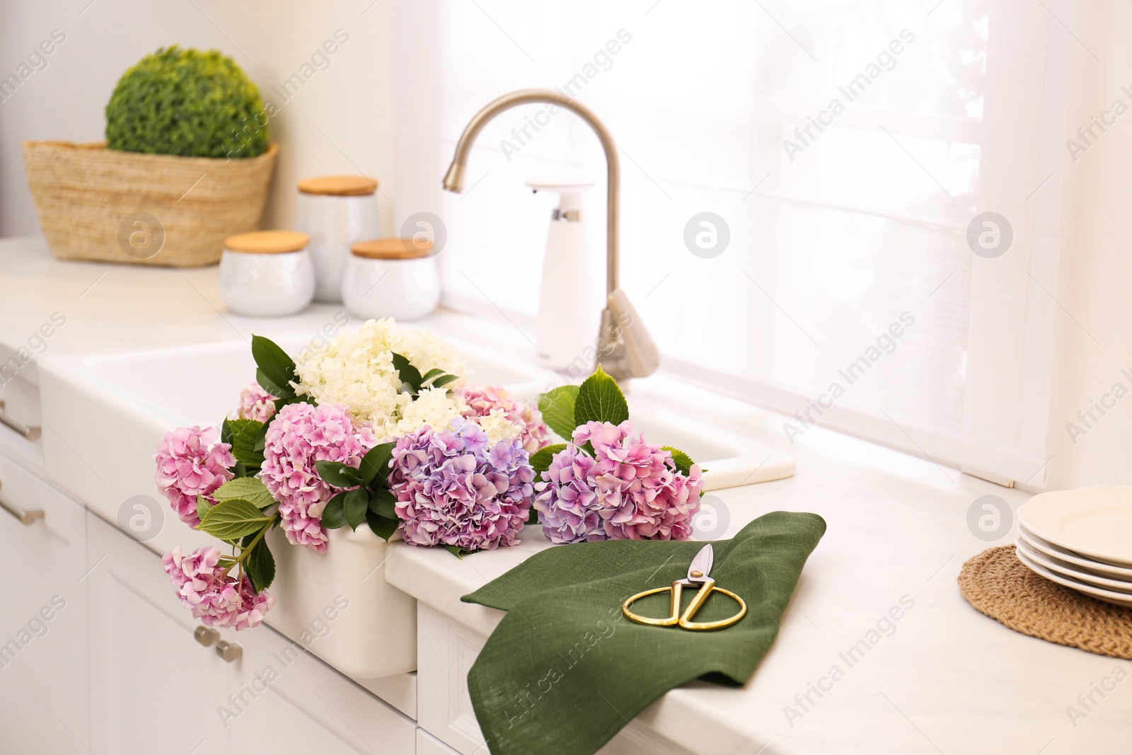 Photo of Bouquet with beautiful hydrangea flowers in sink