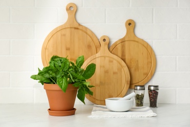 Photo of Fresh green basil in pot on white countertop in kitchen