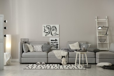 Photo of Cat near big grey sofa in living room. Interior design