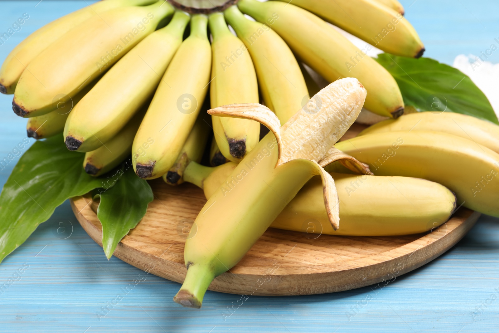 Photo of Tasty ripe baby bananas on light blue wooden table