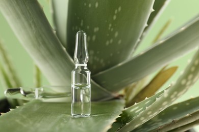 Skincare ampoules on aloe vera against light green background, closeup