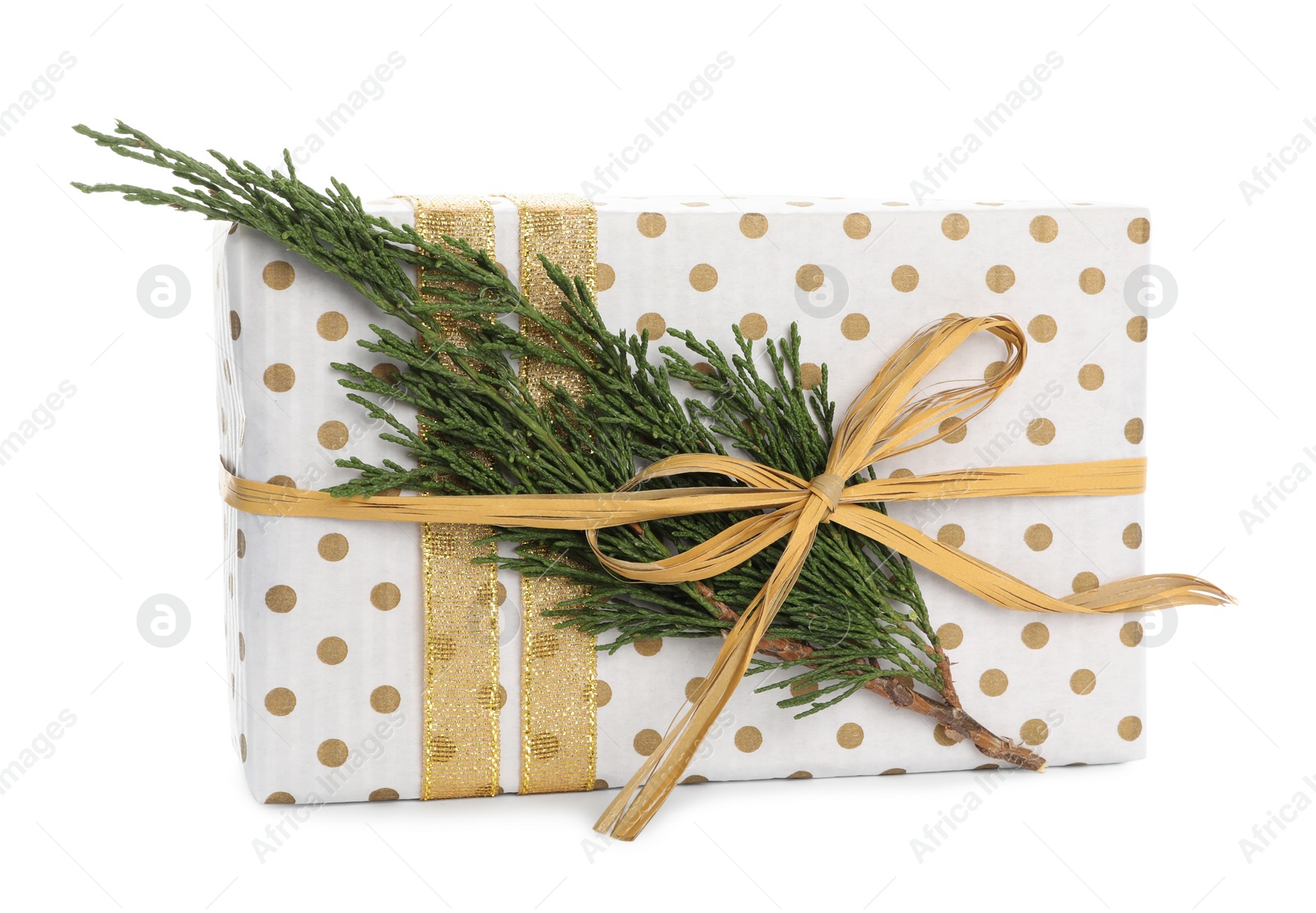 Photo of Christmas gift box decorated with fir branch isolated on white