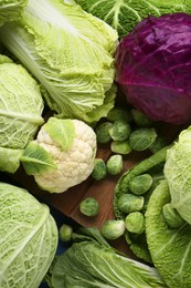 Photo of Many different types of cabbage on wooden table, flat lay