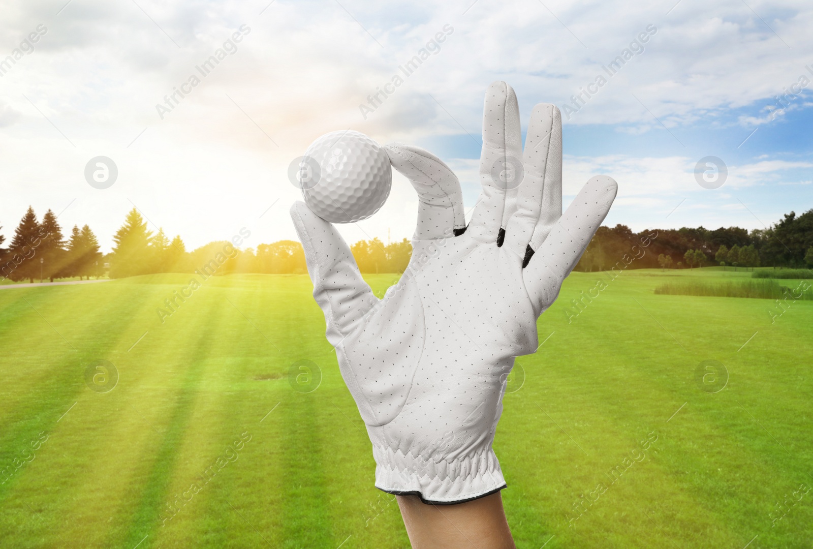 Image of Player holding golf ball in park on sunny day, closeup