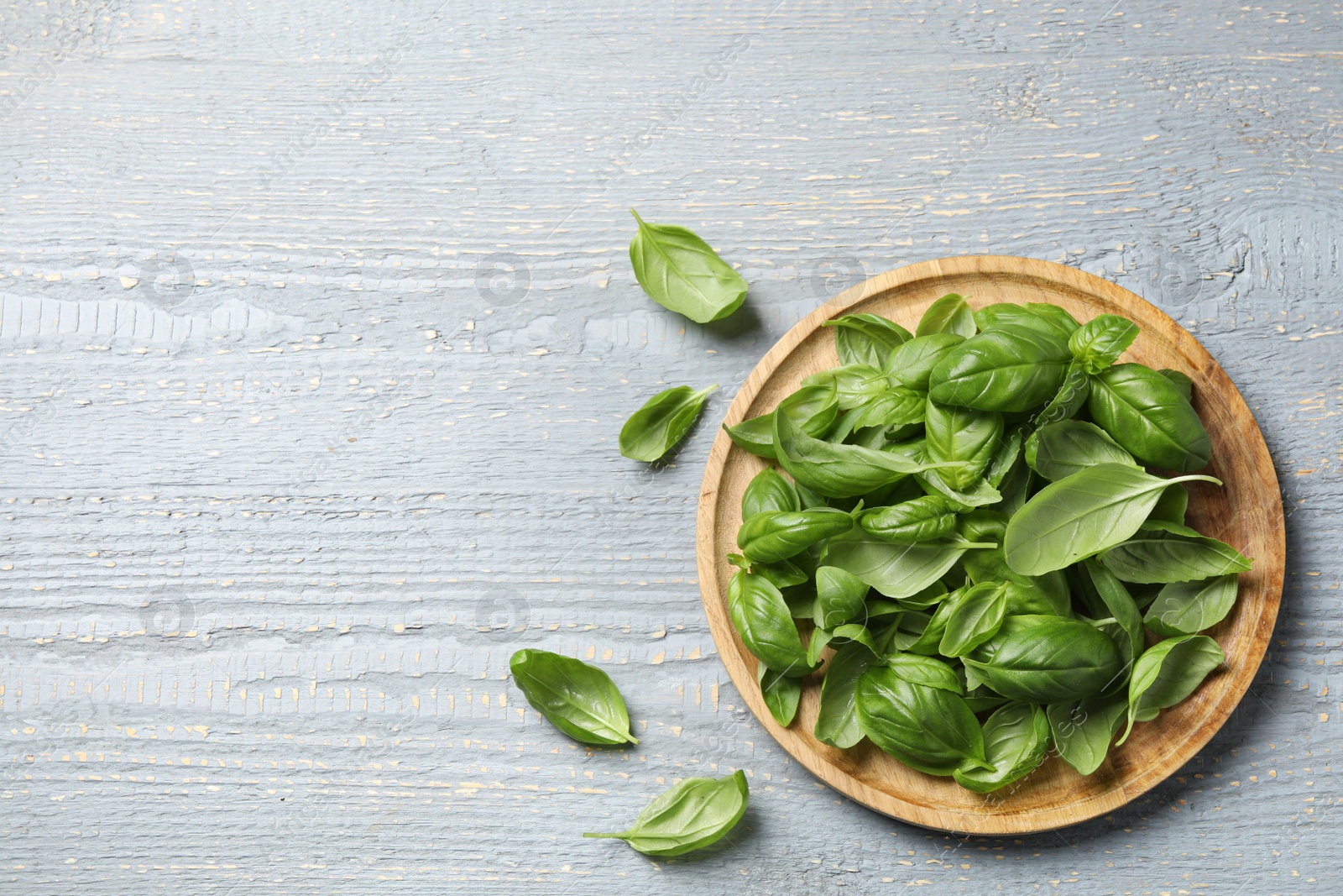 Photo of Fresh green basil on light grey wooden table, flat lay. Space for text