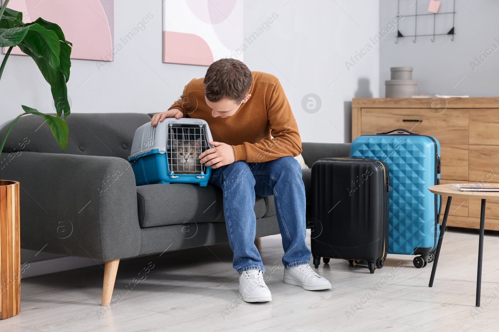 Photo of Travel with pet. Man closing carrier with cat on sofa at home