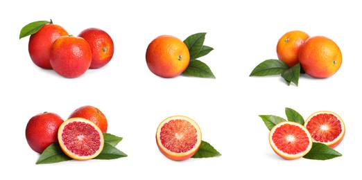 Set with ripe red oranges on white background. Banner design