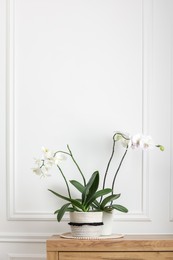 Photo of Blooming orchid flowers in pots on wooden chest of drawers near white wall indoors, space for text