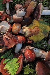 Photo of Many different fresh forest mushrooms on grass, top view